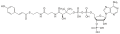 4-Coumaroyl-CoA