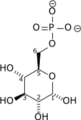 Alpha-D-glucose-6-phosphate