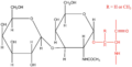 O-Linked Oligosaccharide
