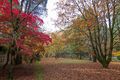 Breenhold Gardens, Mount Wilson, New South Wales