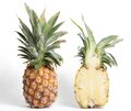 Pineapple and cross section