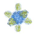 Prototype for a Universal Flu Vaccine
