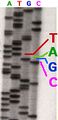 Sequencing machine