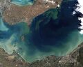 Toxic Algae Bloom in Lake Erie