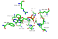5'-nucleotidase active site