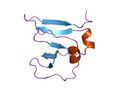 Type I topoisomerase structure