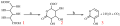3-hydroxy-2-pyrone