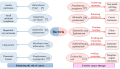 Bacteria involved in causing and treating cancers