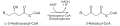 Beta-Oxidation3