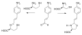 Cysteine and Homocysteine structures