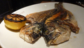 Gilt-head bream