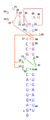 S2m structure of SARS-CoV