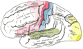 Thumbnail for version as of 17:28, 18 May 2026