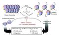 Histone acetylation and deacetylation