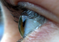 Human_eye