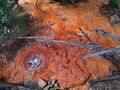 Spring (hydrology)