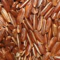 Rice - Sorte C