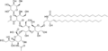 GM1 ganglioside structure