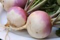 Vegetable