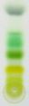 Chromatography of chlorophyll