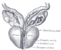Thumbnail for version as of 17:28, 18 May 2026