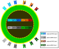 MHC expression patterns