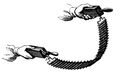 Pulvermacher's chain