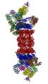 Proteasome