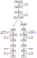 Overview of glycolysis