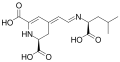 Vulgaxanthin IV