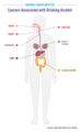 Cancers associated with drinking alcohol
