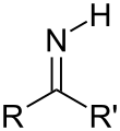 Imine (primary)