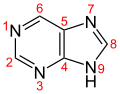 Purine structure