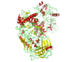 Taq polymerase