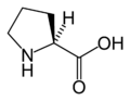 L-proline skeletal structure