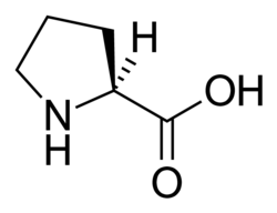 L-proline-skeletal.png