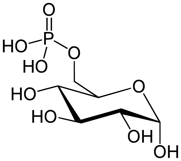 File:Alpha-D-Glucospyranose-6-Phosphate.svg