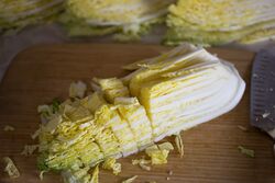 Napa cabbage
