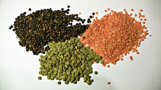 assorted lentils (Lens culinaris)