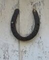 Horseshoe lucky on door
