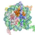Nucleosome structure