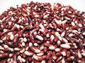 Phaseolus vulgaris