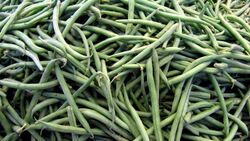 Green beans
