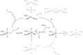 Homogeneous_catalysis
