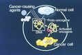 Illustration of oncogenes