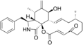 Cytochalasin A