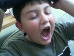 Stewart-yawn