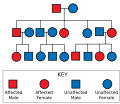 Autosomal Dominant Pedigree Chart