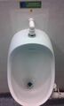 Waterless urinal in City University of Hong Kong