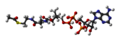 3D ball-and-stick model of Acetyl-CoA
